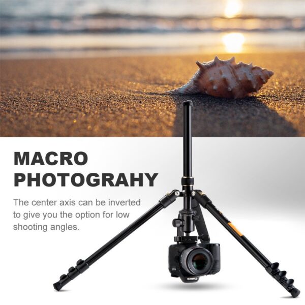 K&F TM2324 Concept 62inch DSLR Tripod - Image 4