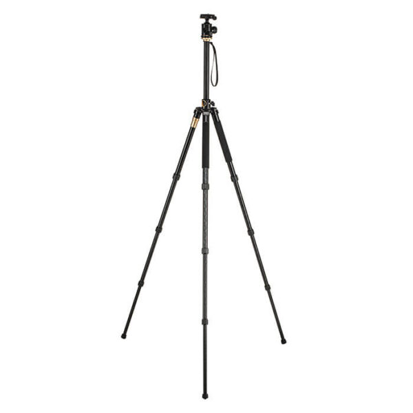 CAME-TV Q156 Low Shooting Tripod - Image 6