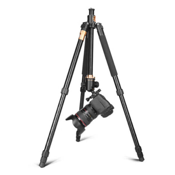 CAME-TV Q156 Low Shooting Tripod - Image 8