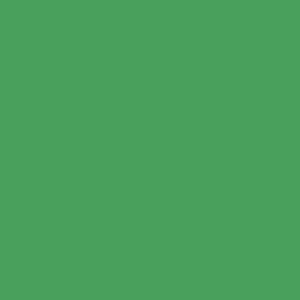 Generic Chroma cloth green 2.4×3.6