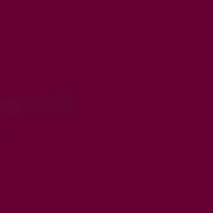 Generic Paper Background 11×2.7m - Burgundy