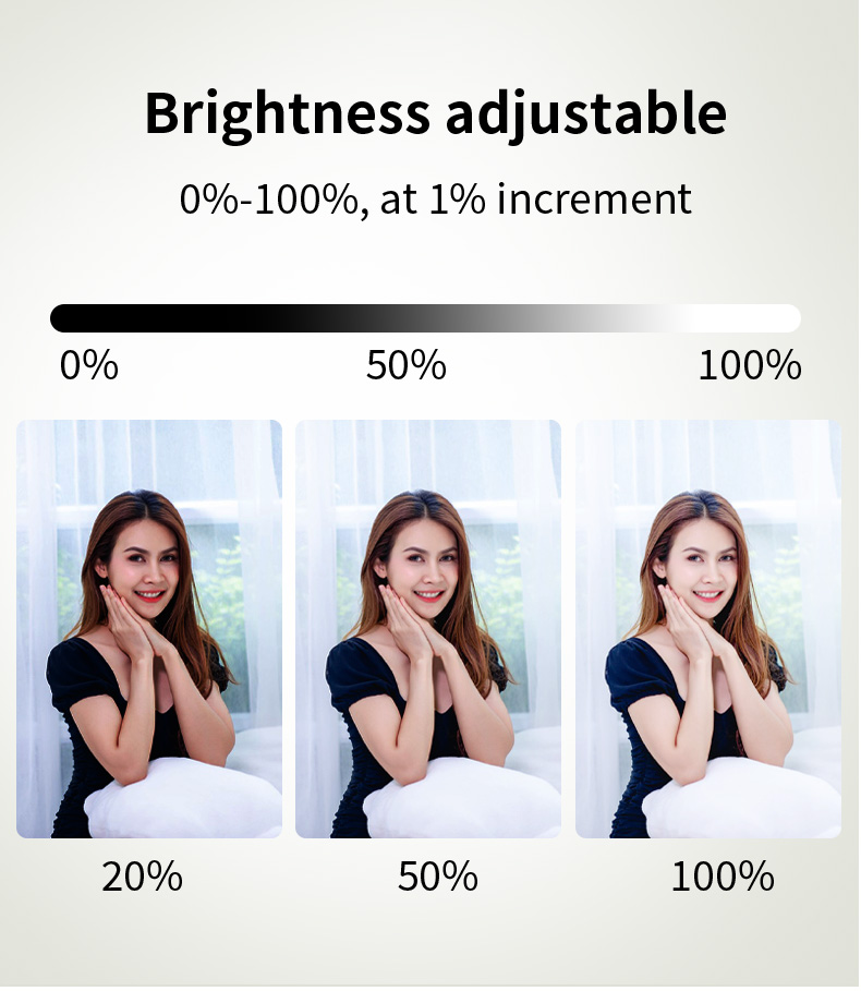 Nicefoto FB-A Series Bi-Color Collapsible Light with Grid - الصورة 2