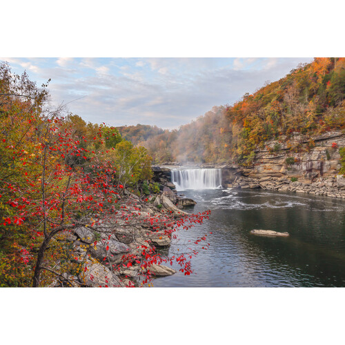 Canon EOS R6 Mark III Mirrorless Camera - Image 15