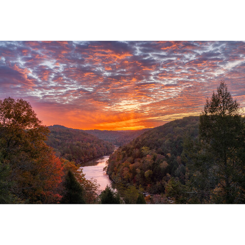 Canon EOS R6 Mark III Mirrorless Camera - Image 16