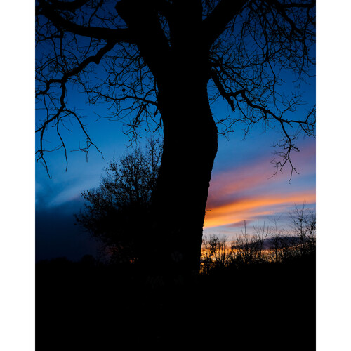 FUJIFILM X-T50 Mirrorless Camera with XC 15-45mm f/3.5-5.6 Lens - Image 11